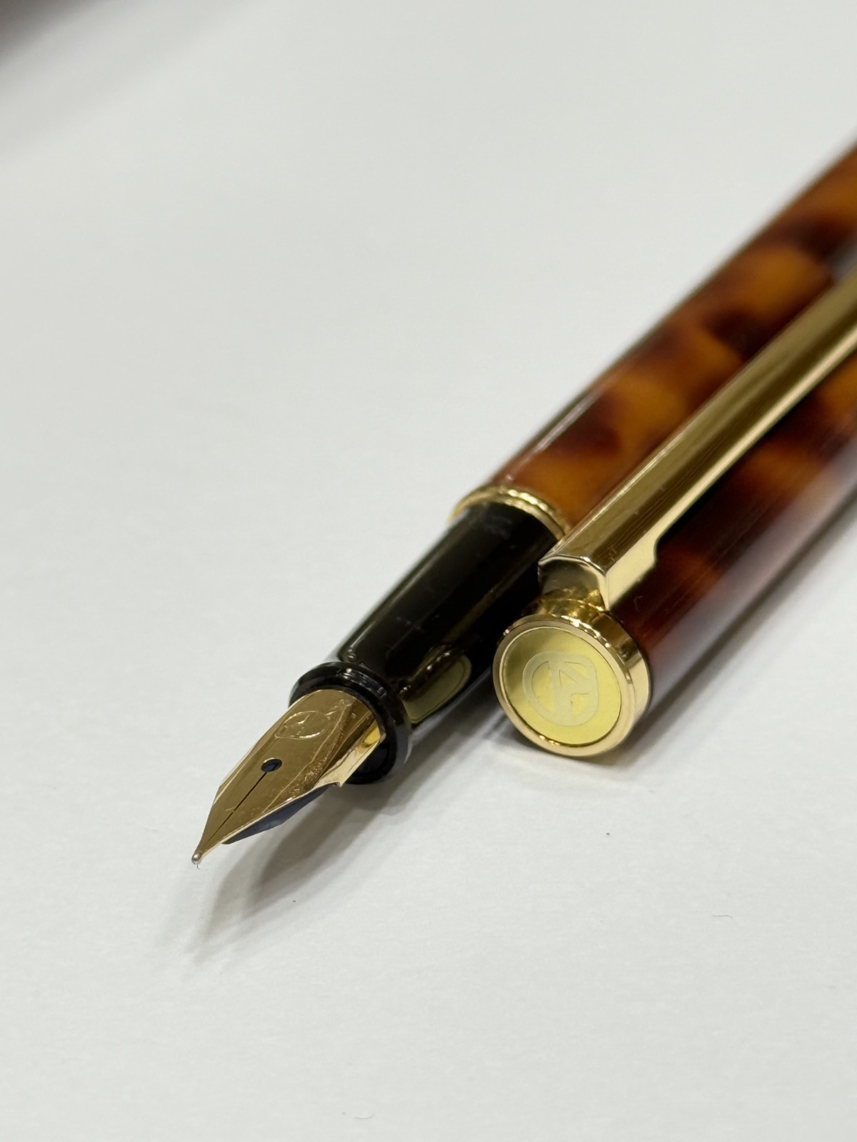 Fountain Pen Brown Marble Body XF Nib