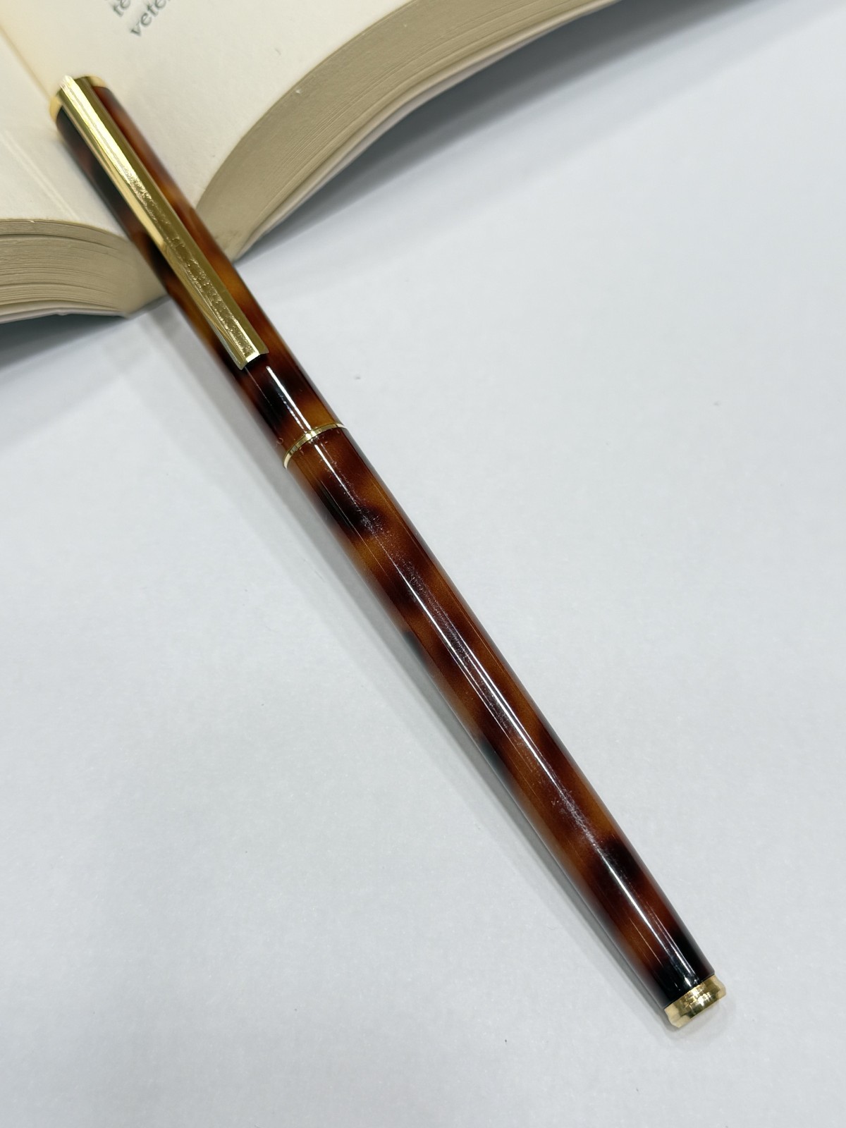 Fountain Pen Brown Marble Body XF Nib
