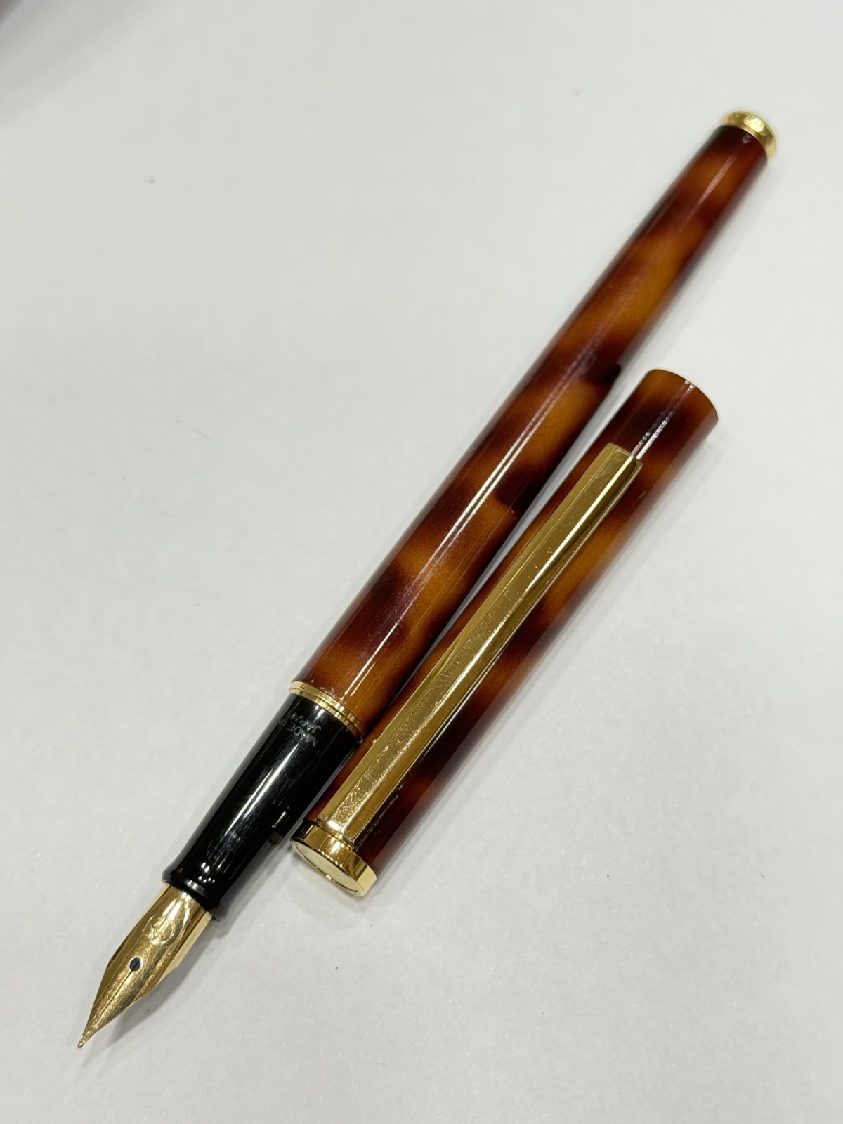 Fountain Pen Brown Marble Body XF Nib