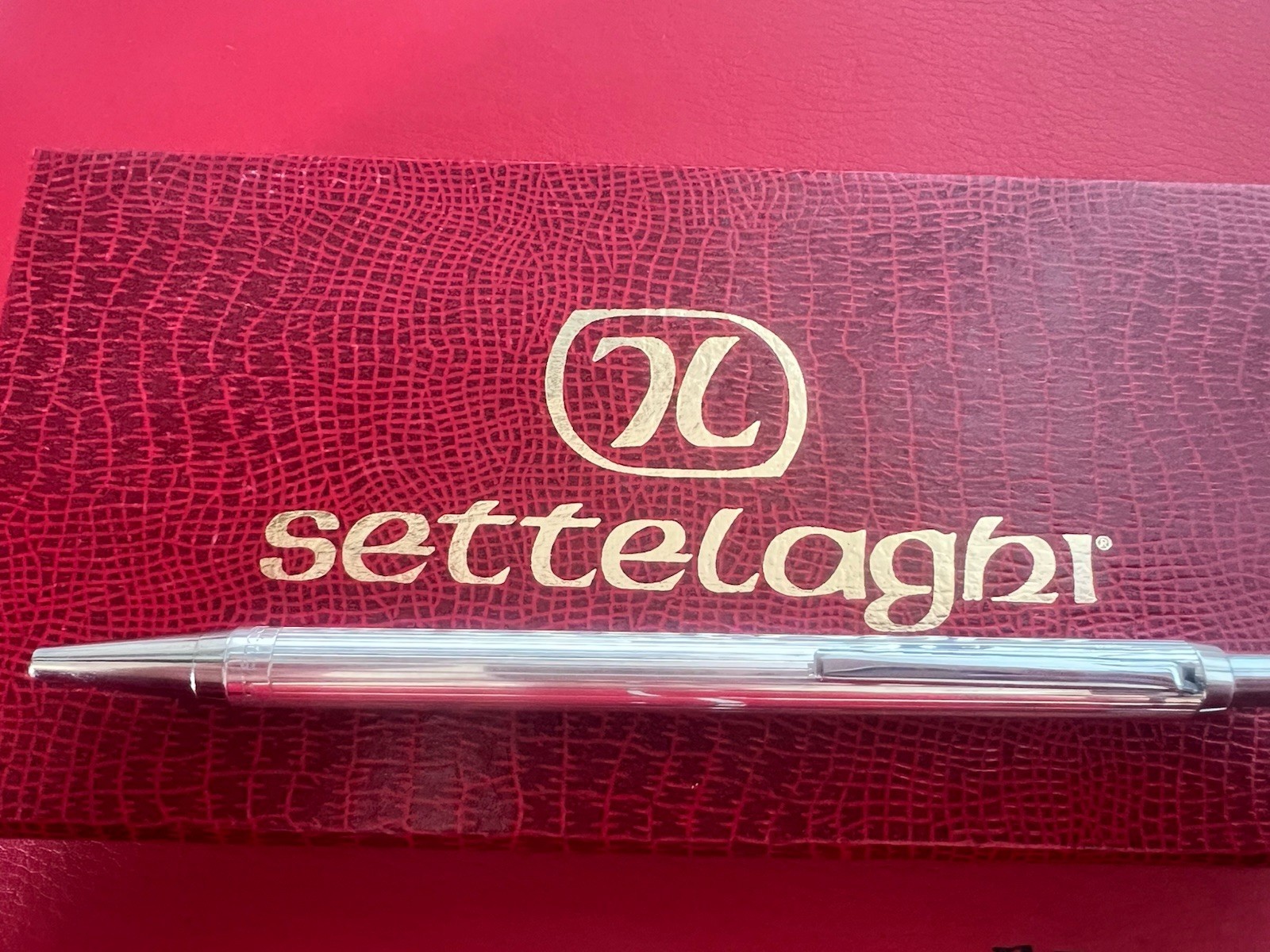 Settelaghi Silver 925 Solid Ballpoint Pen Personal Window 4