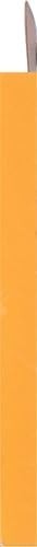 2 Pack of 10 Ballpoint Pen – Blue Ink Ball Point Pens for Office Writing School