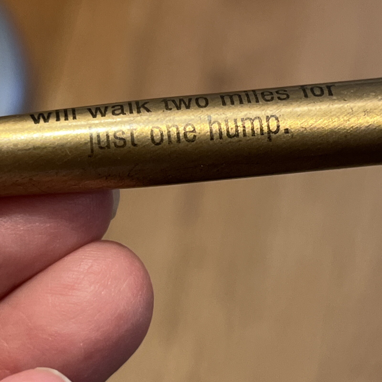 3 VTG Pens I would like to go to bed with you if the answer is yes keep the Pen
