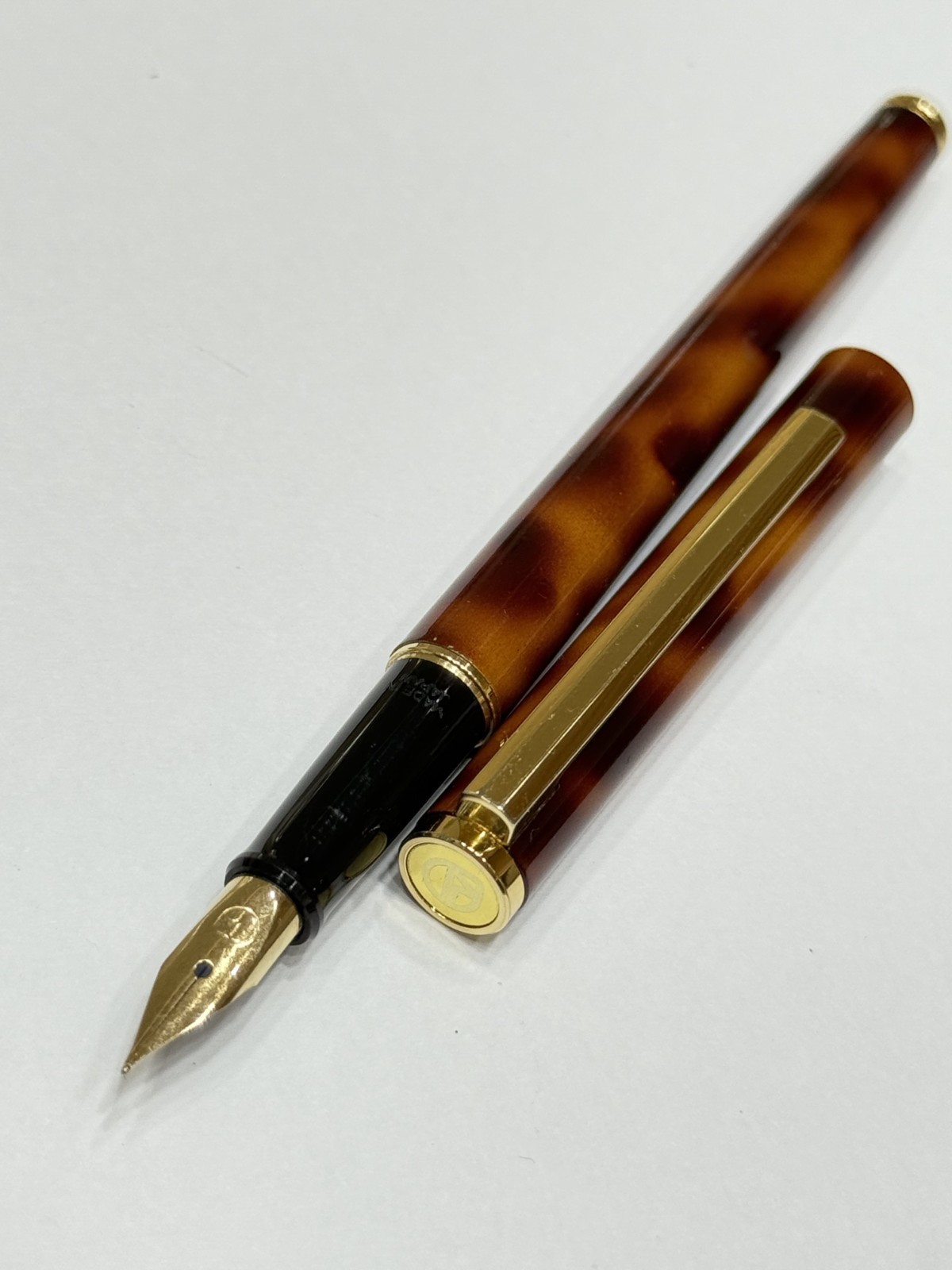 Fountain Pen Brown Marble Body XF Nib