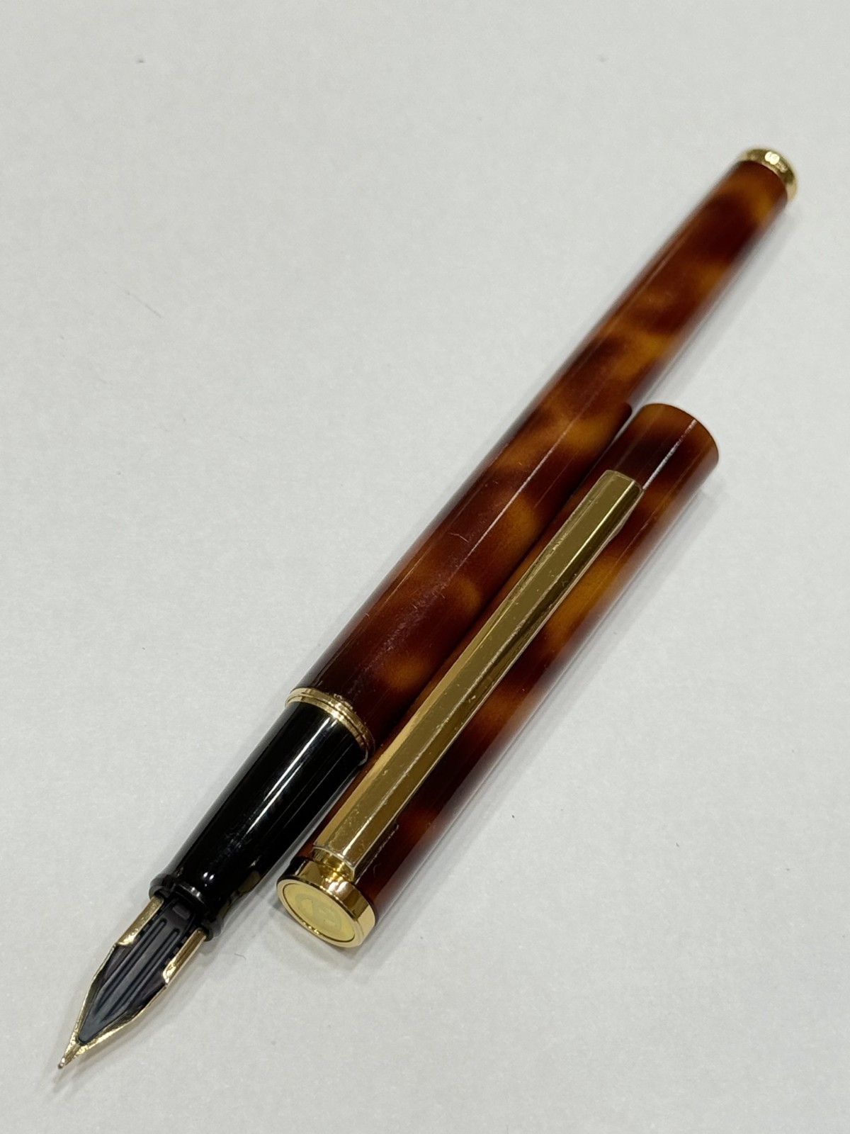 Fountain Pen Brown Marble Body XF Nib