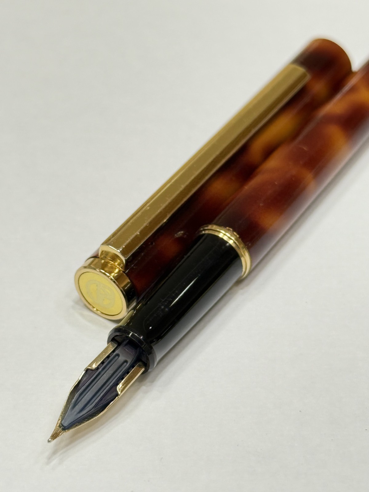 Fountain Pen Brown Marble Body XF Nib