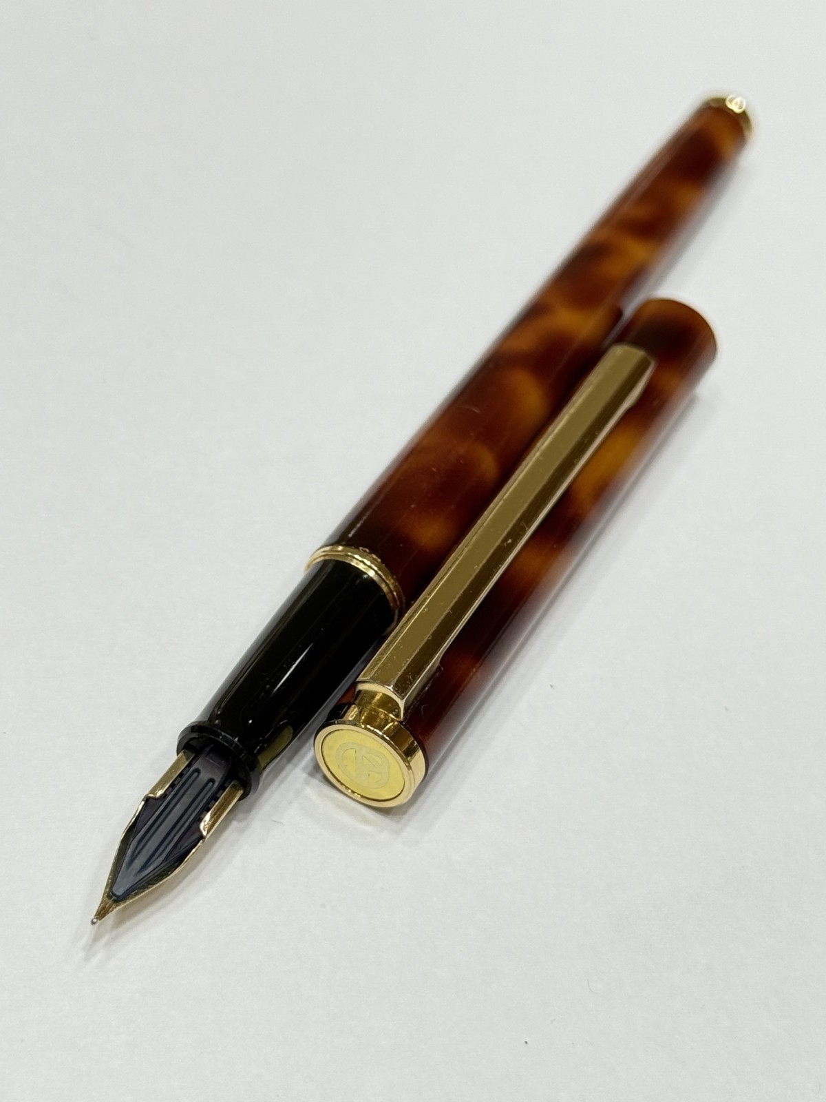 Fountain Pen Brown Marble Body XF Nib