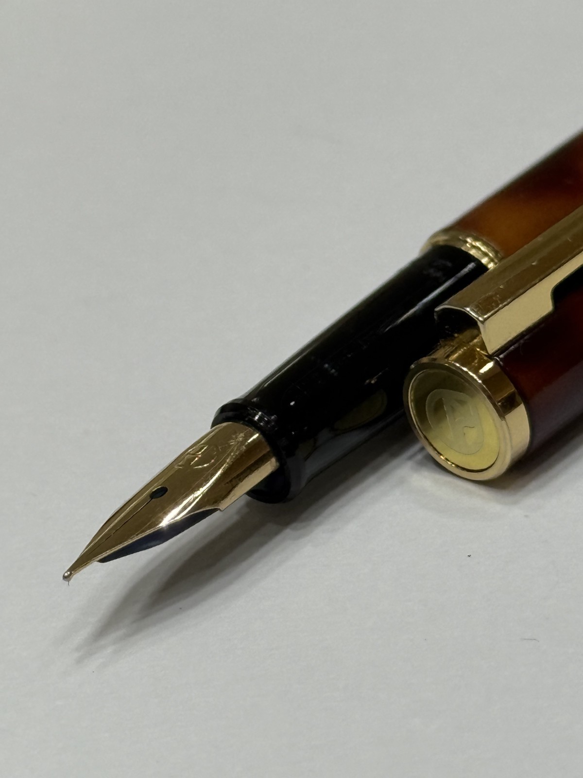 Fountain Pen Brown Marble Body XF Nib