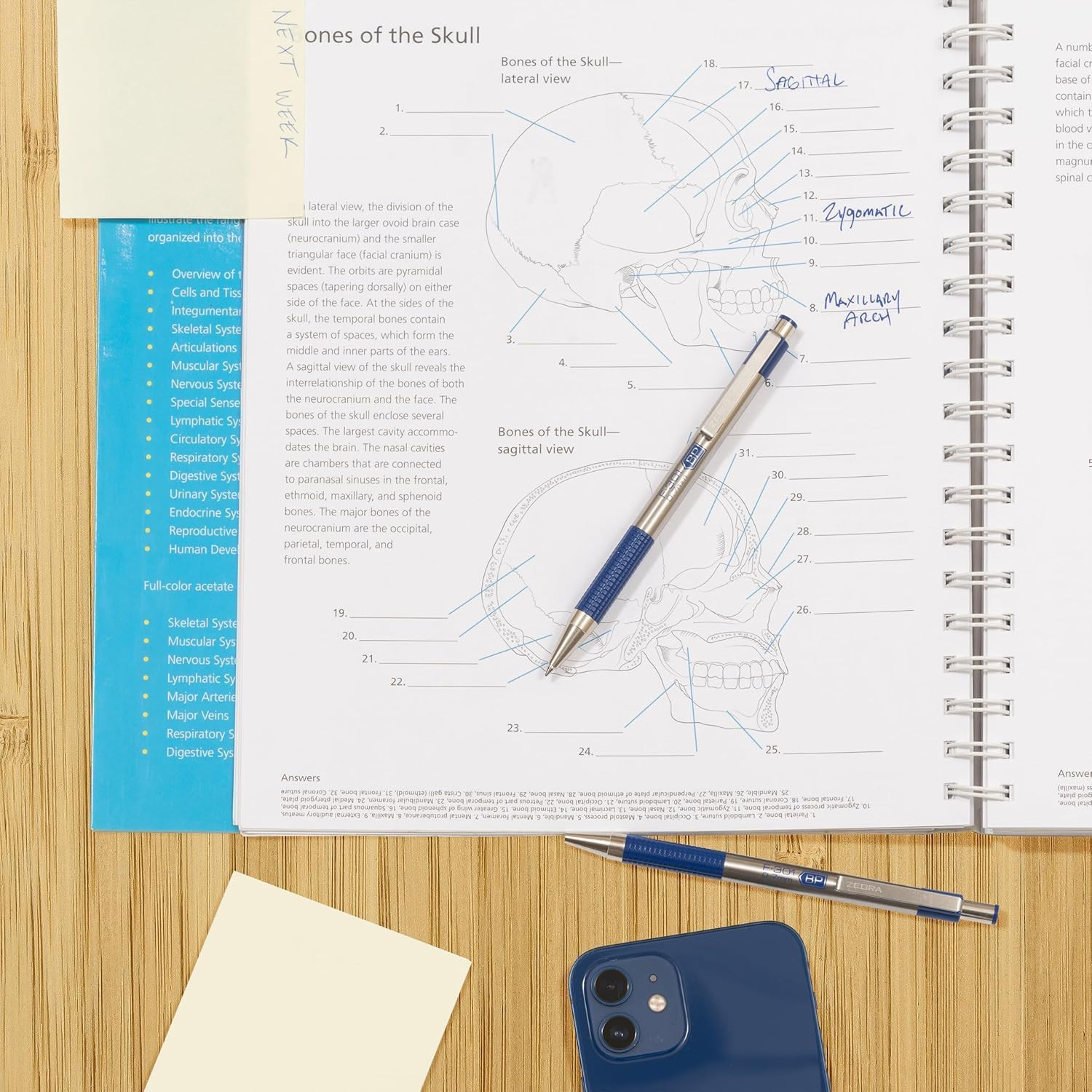 F-301 Ballpoint Black, Blue, Red and Green Ink, Fine Point 0.7Mm Pen, Easy-Glide