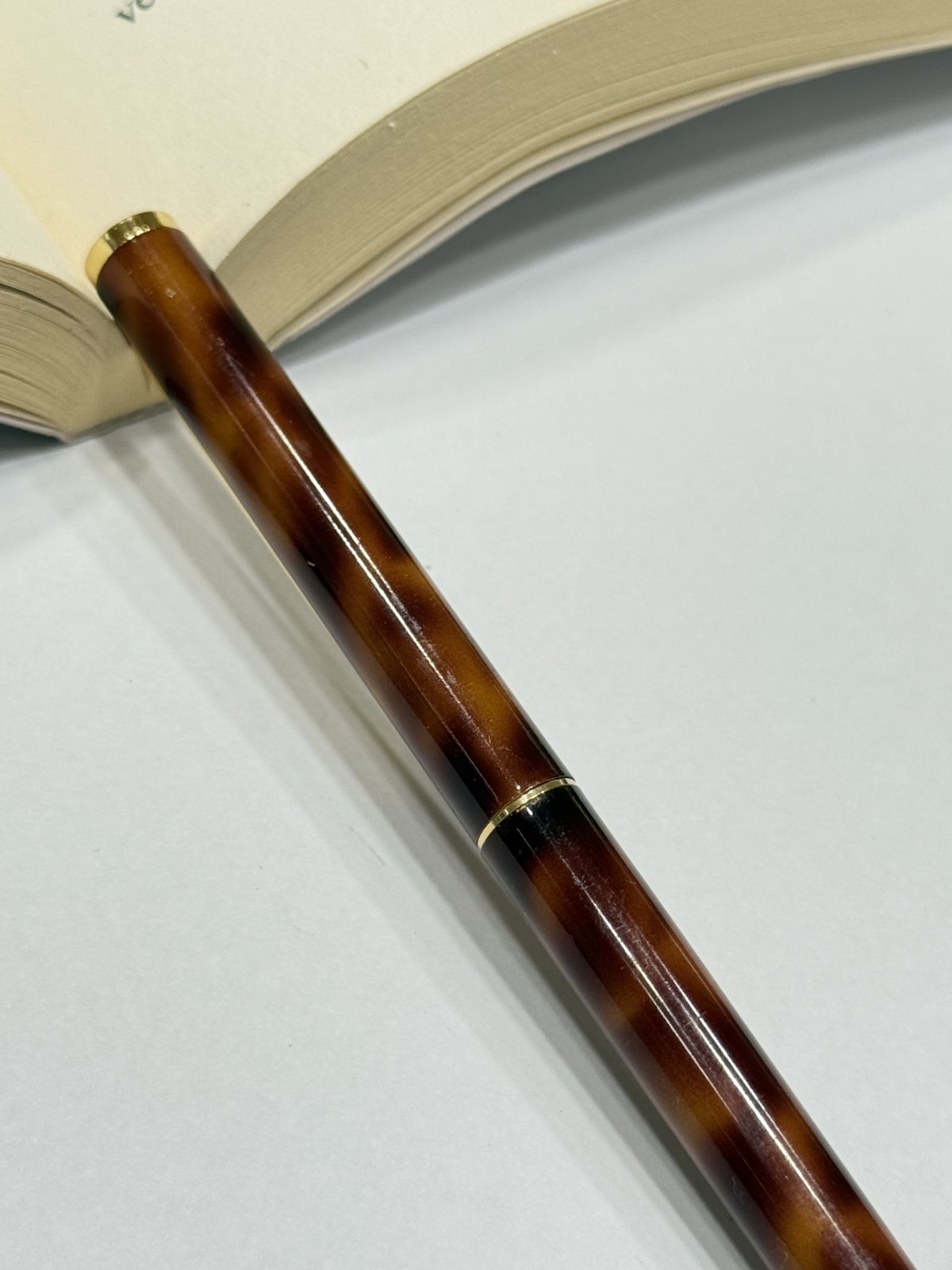 Fountain Pen Brown Marble Body XF Nib
