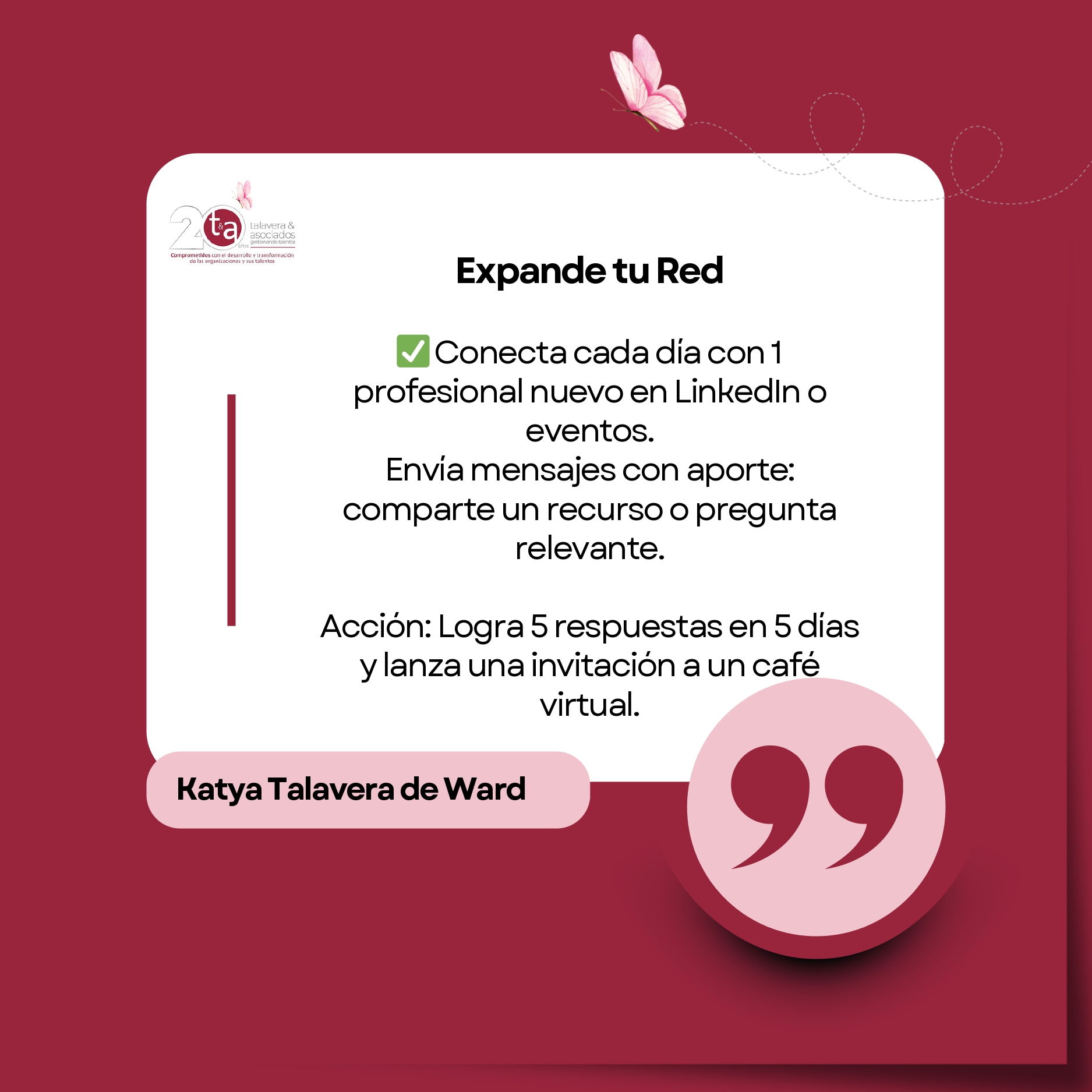 Imagen 7